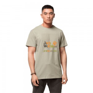 Camiseta Jack Wolfskin 365 Hideaway Hombre Marrom Claro | PT6584210