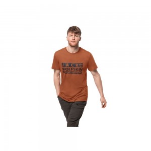 Camiseta Jack Wolfskin Brand Hombre Cobra | CW5721930