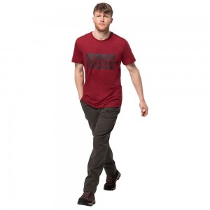 Camiseta Jack Wolfskin Brand Hombre Rojos Oscuro | ZP4935821