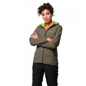 Chaqueta Softshell Jack Wolfskin Northern Point Mujer Grises | XD7235841