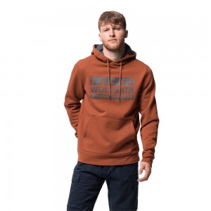 Jerséis Jack Wolfskin Brand Hoody Hombre Cobra | VJ3048217