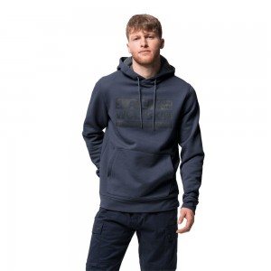 Jerséis Jack Wolfskin Brand Hoody Hombre Azules | AV6021978