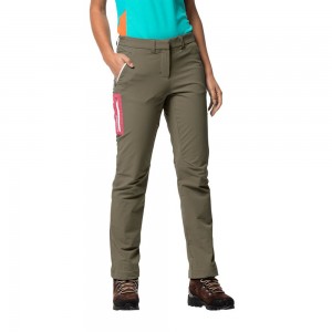 Pantalón softshell Jack Wolfskin Overland Ii Mujer Grises | DO3608719