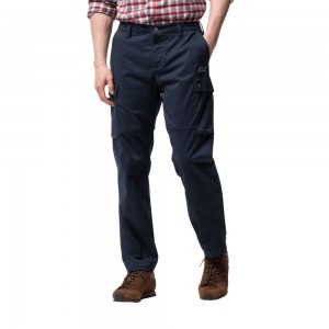 Pantalones Casuales Jack Wolfskin Arctic Road Cargo Hombre Azules | RS8637451