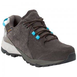 Tenis de Senderismo Jack Wolfskin Cascade Hike Lt Texapore Low Mujer Marrom | FA8361092