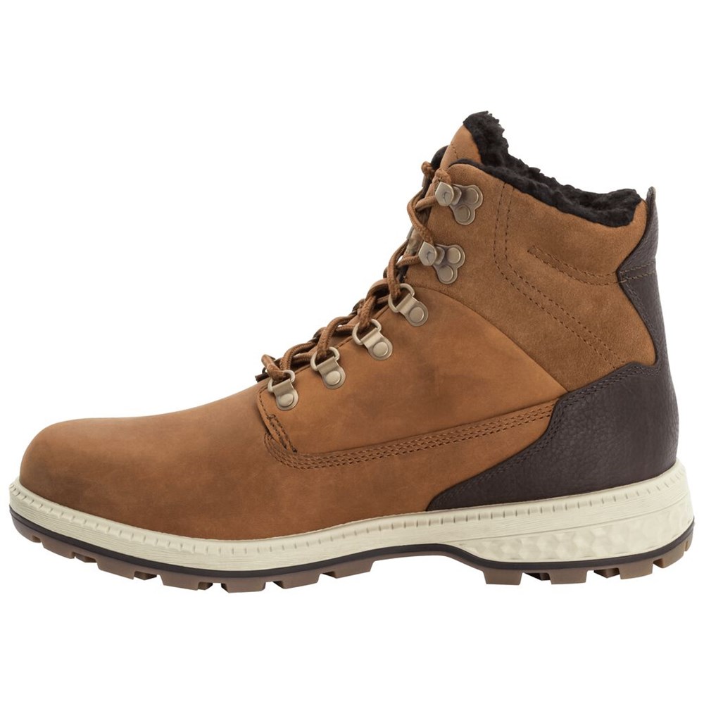 Botas de Invierno Jack Wolfskin Jack Wt Mid Hombre Brown/White | CX0236187