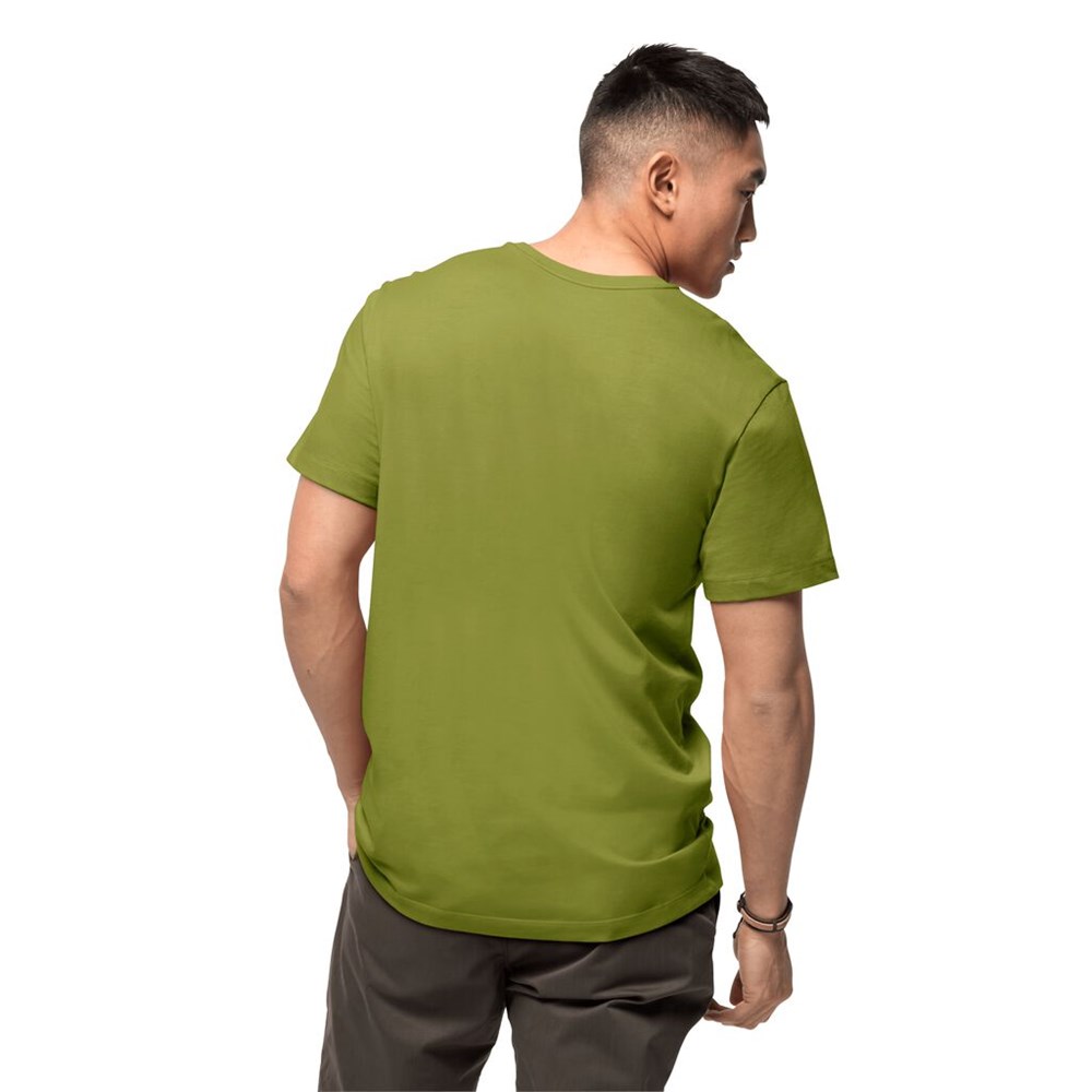 Camiseta Jack Wolfskin 365 Hideaway Hombre Verdes | EZ7193620