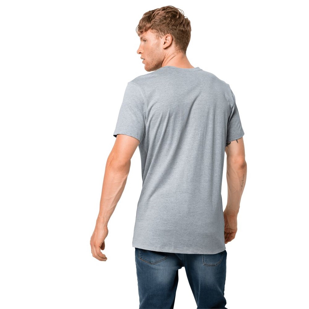 Camiseta Jack Wolfskin Atlantic Ocean Hombre Grises | ME7596413