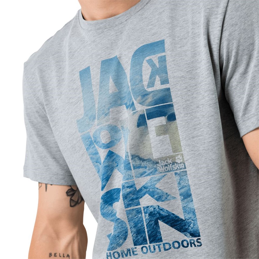 Camiseta Jack Wolfskin Atlantic Ocean Hombre Grises | ME7596413