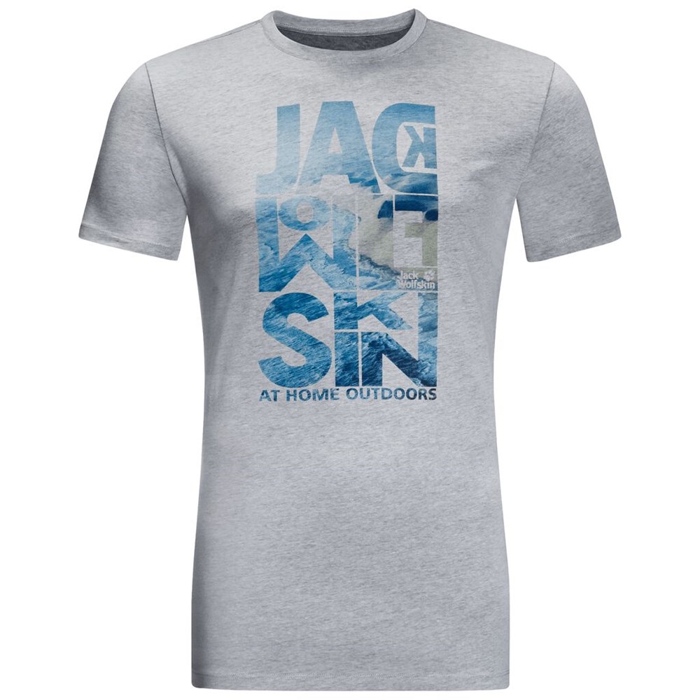 Camiseta Jack Wolfskin Atlantic Ocean Hombre Grises | ME7596413