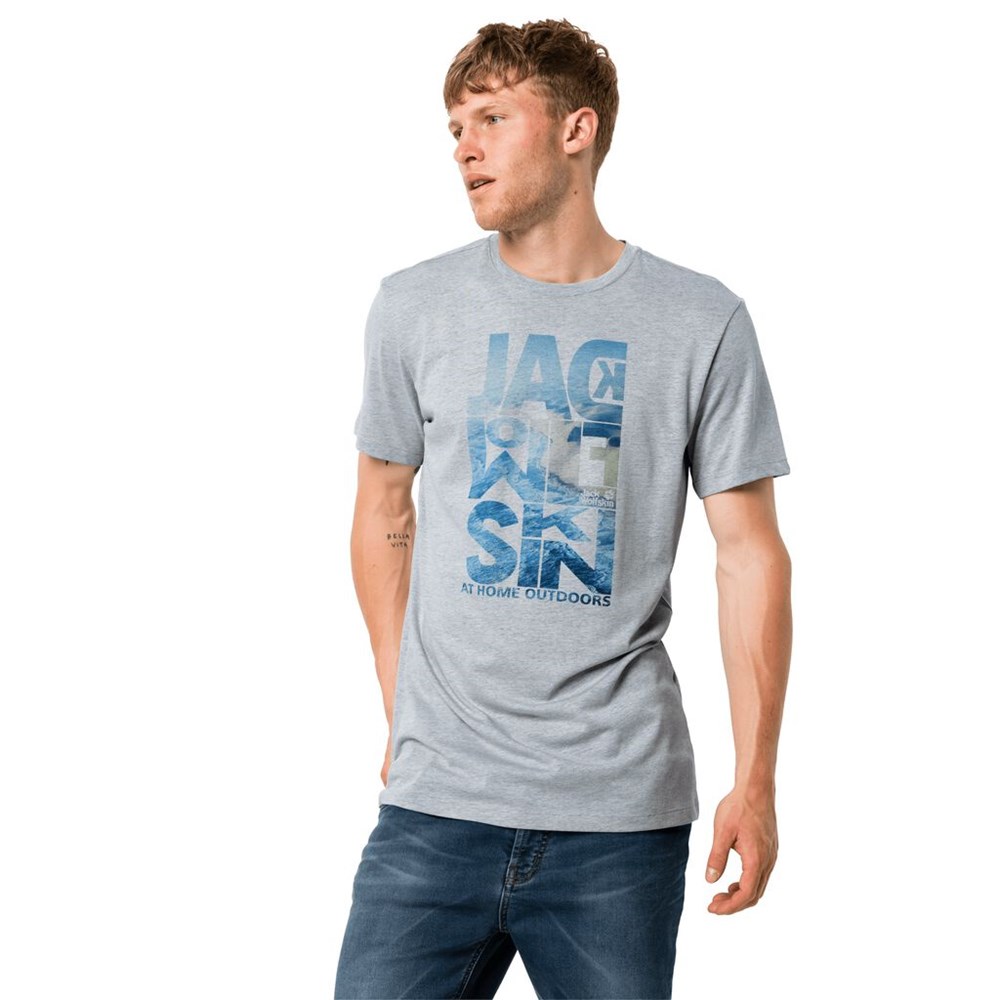 Camiseta Jack Wolfskin Atlantic Ocean Hombre Grises | ME7596413