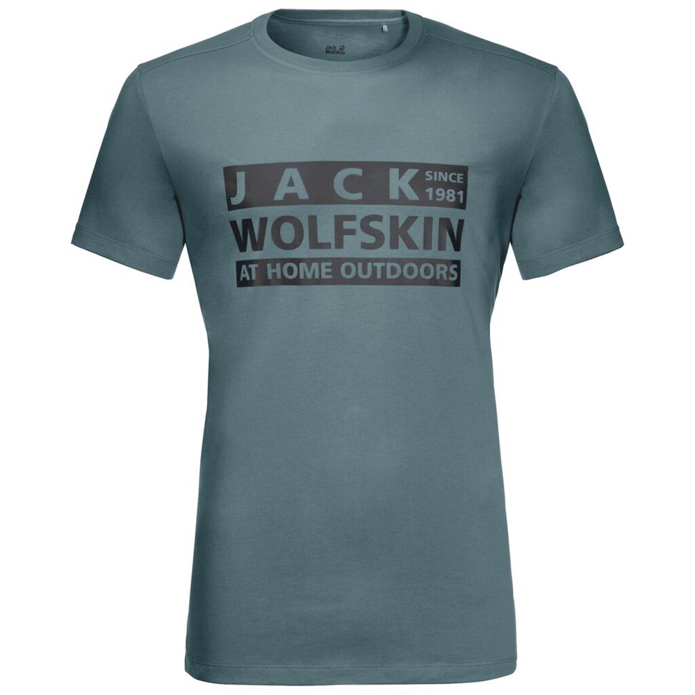 Camiseta Jack Wolfskin Brand Hombre Verdes Claro | QN1368042