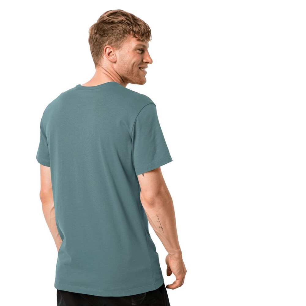 Camiseta Jack Wolfskin Essential Hombre Verdes Claro | PY6203814