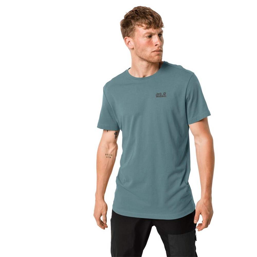 Camiseta Jack Wolfskin Essential Hombre Verdes Claro | PY6203814