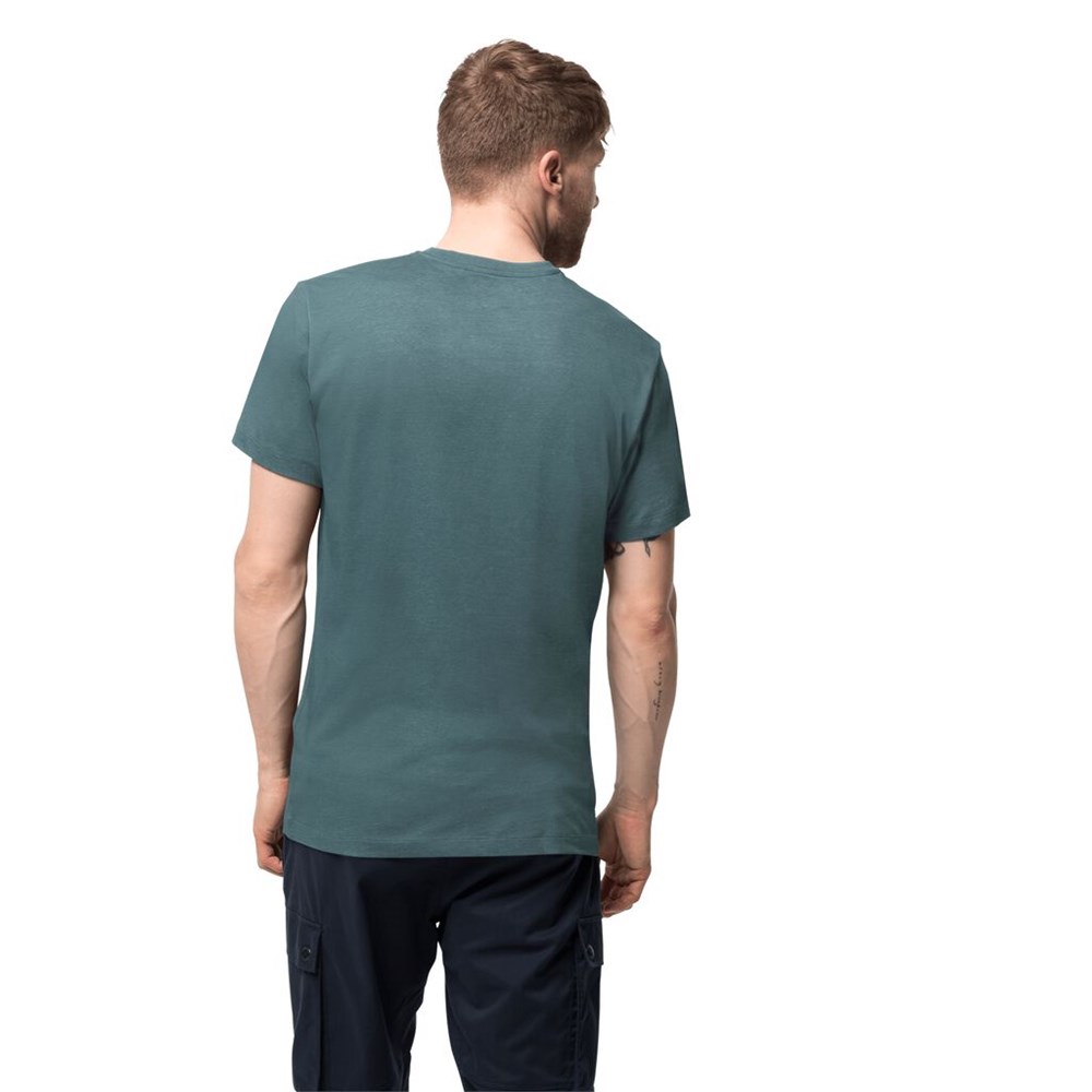 Camiseta Jack Wolfskin Ocean World Hombre Verdes Claro | ZS4836512