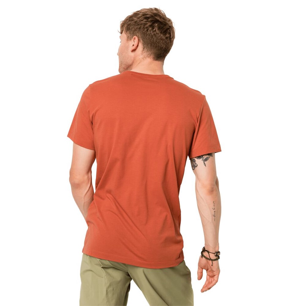 Camiseta Jack Wolfskin Savannah Hombre Naranjas | IR9538176