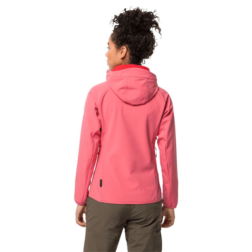 Chaqueta Softshell Jack Wolfskin Sky Peak Mujer Coral Rosas | JH7135849