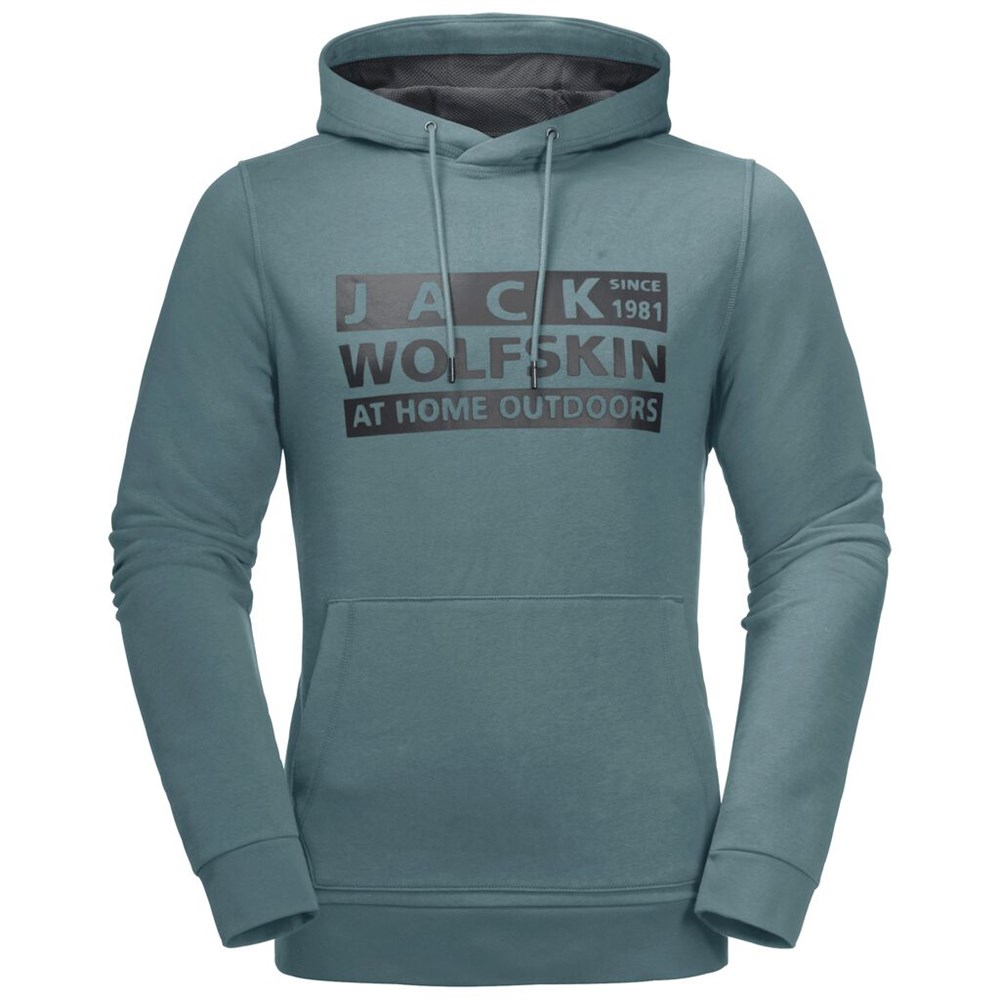 Jerséis Jack Wolfskin Brand Hoody Hombre Verdes Claro | PR9638452