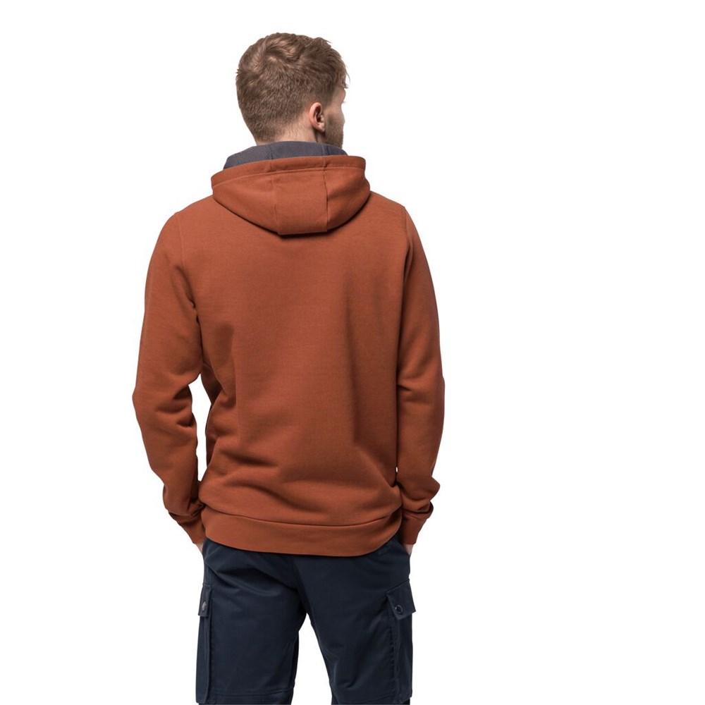 Jerséis Jack Wolfskin Brand Hoody Hombre Cobra | VJ3048217