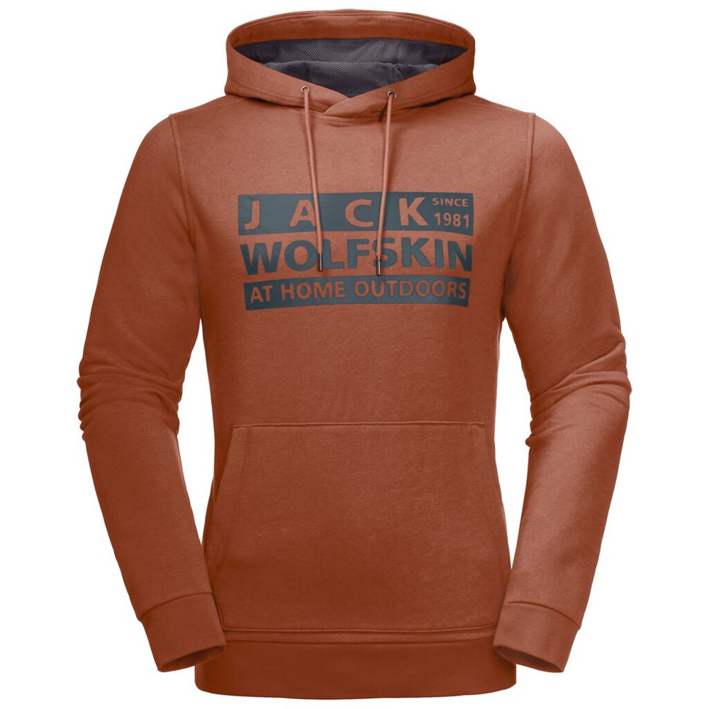 Jerséis Jack Wolfskin Brand Hoody Hombre Cobra | VJ3048217